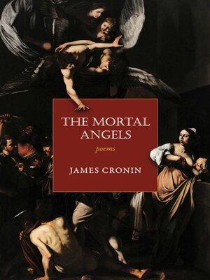 cover image of The Mortal Angels